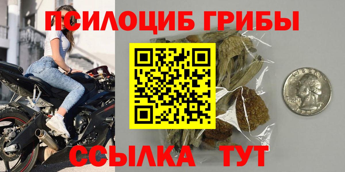 Галлюциногенные грибы Psilocybe Кимры